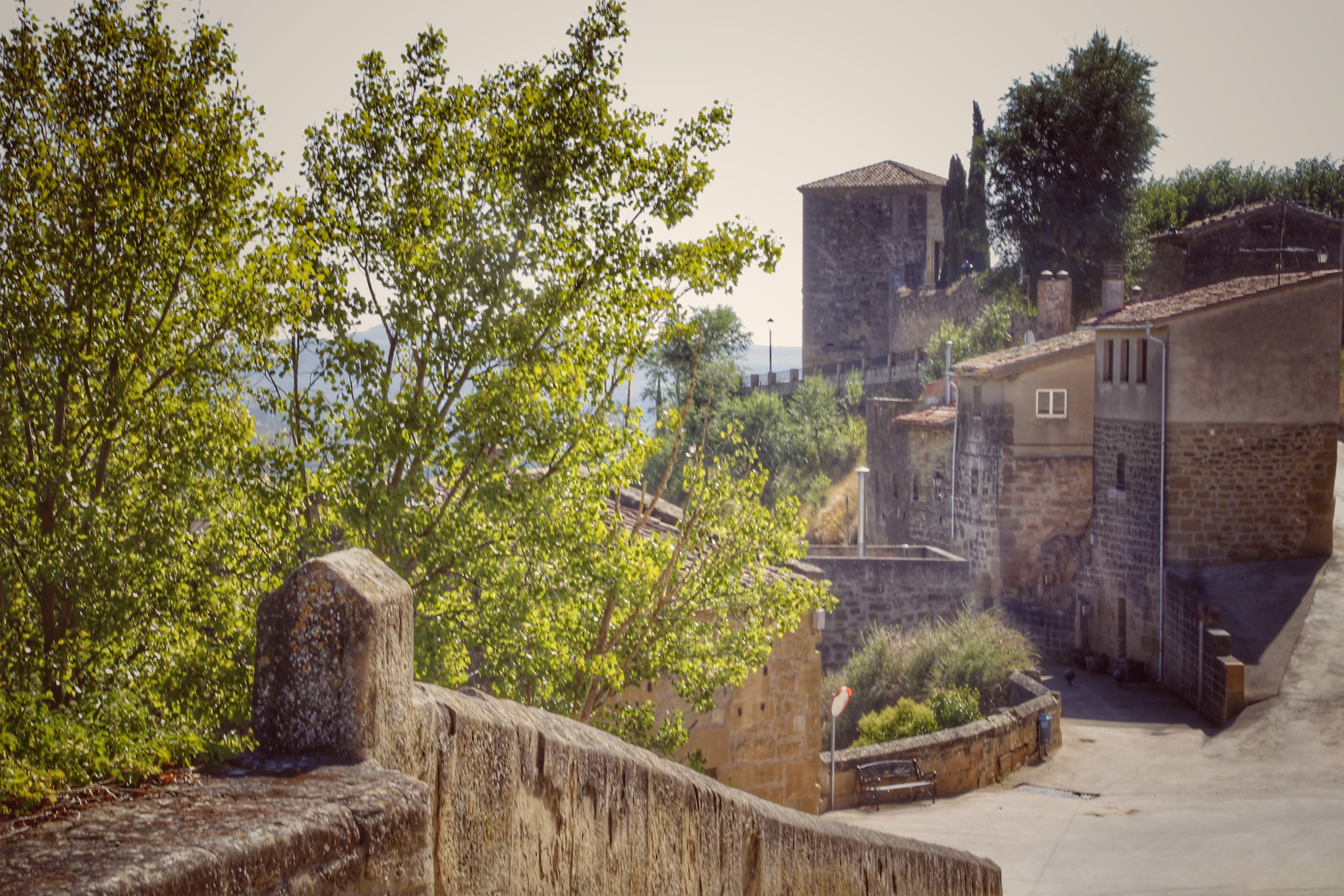 Castillo y recinto amurallado de Briones